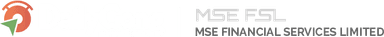 MSE Financial Services